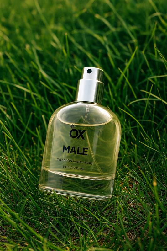 A Beginner’s Guide to Fragrance Families: Which One Matches You?